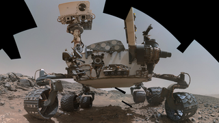 A Fan Stitched Together the Best Selfie of Curiosity Yet